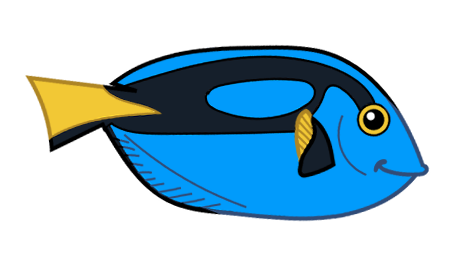kirurgfisk
