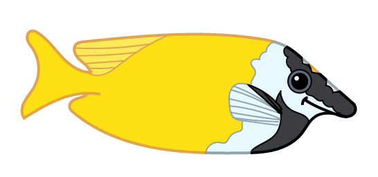 rævefisk