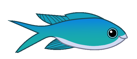 blå chromis
