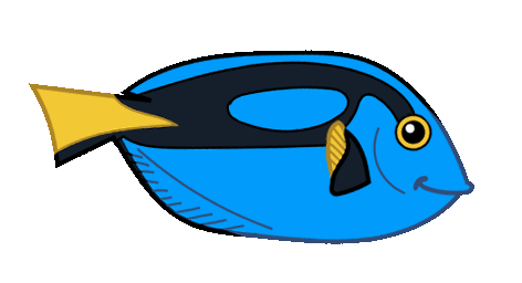 kirugfisk