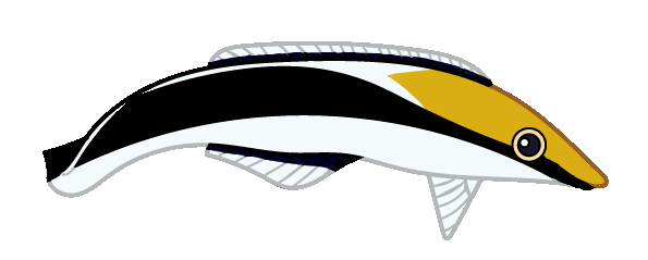 pudsefisk