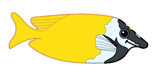 rævefisk